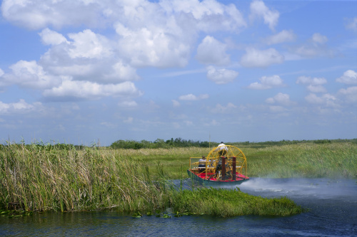 Everglades