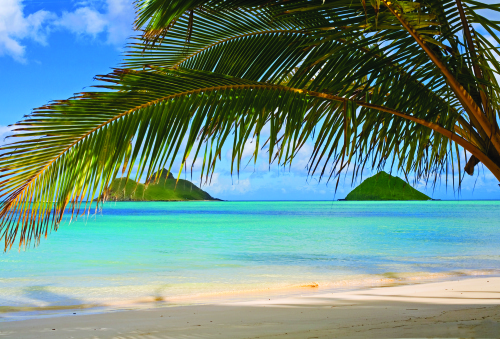 Beach in Oahu
