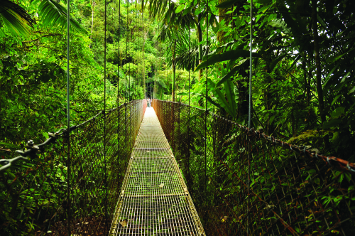 Monteverde