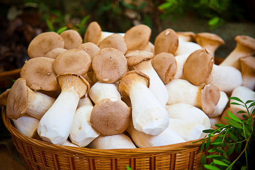Eating around italy's regions
