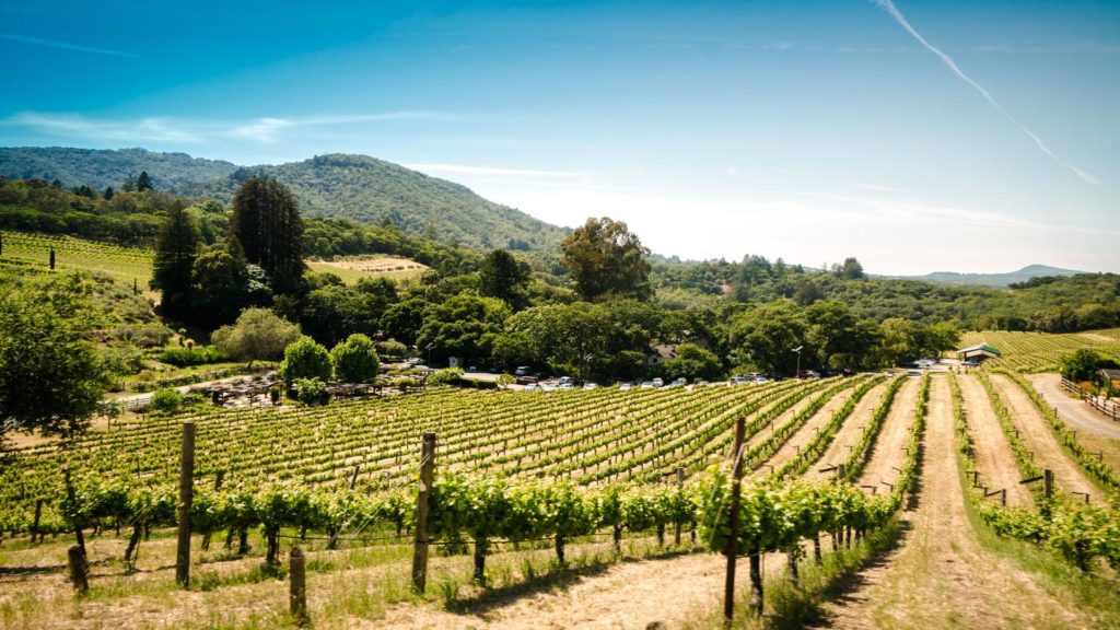 sonoma-county-vineyards-USA