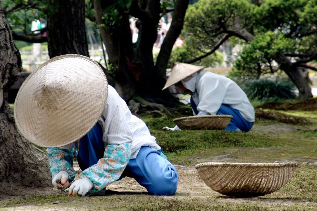Kanazawa Guide