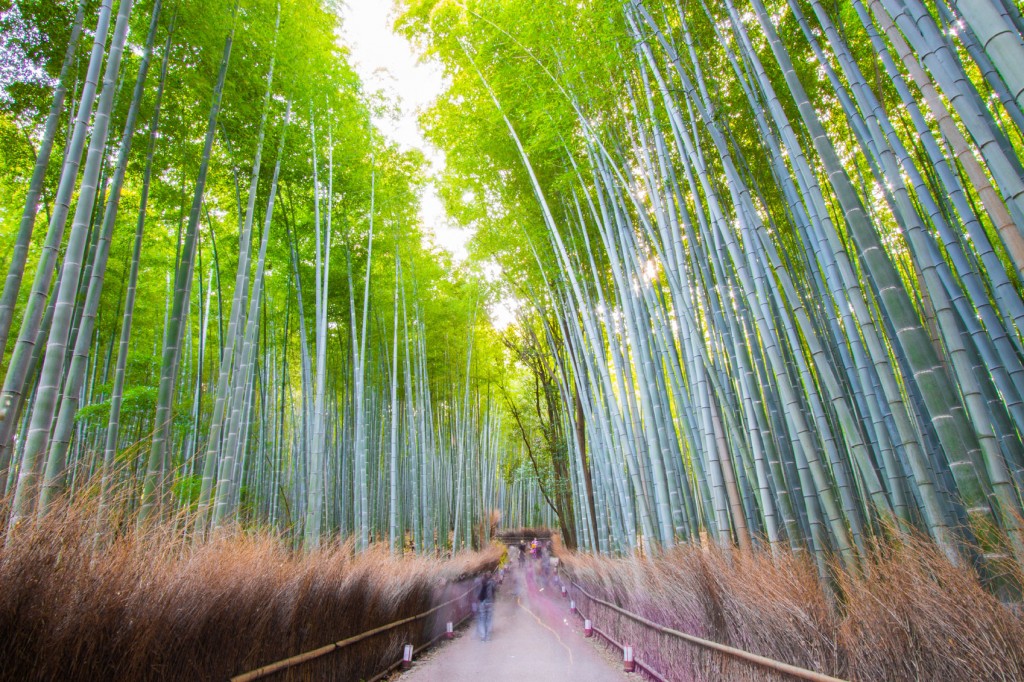 Destinations for Kids