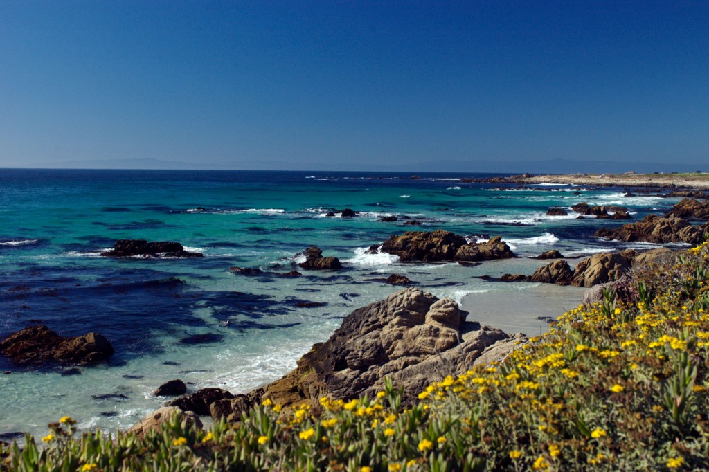 Destinations for Kids