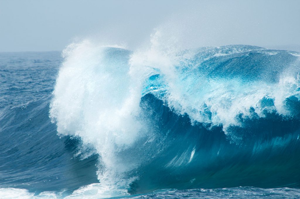 World Oceans Day