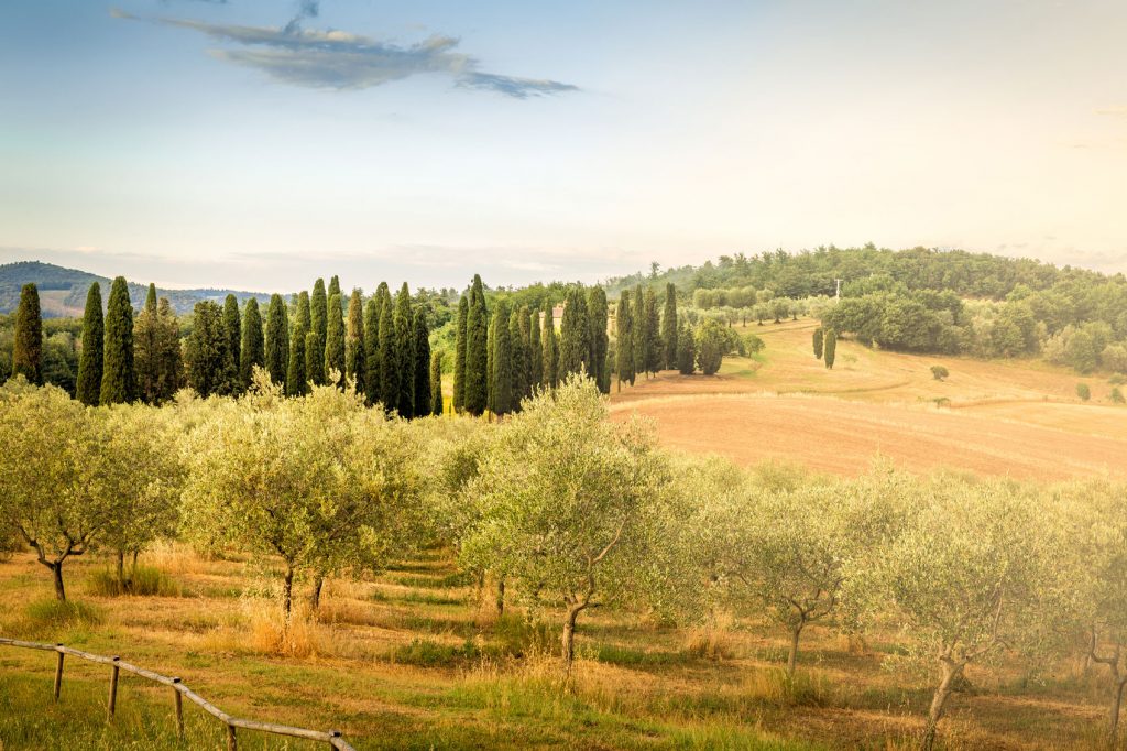 Fattoria di Maiano 