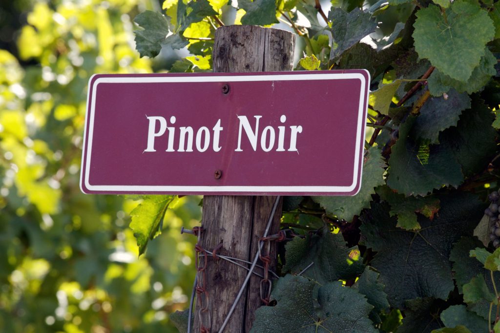 Oregon Wine Country