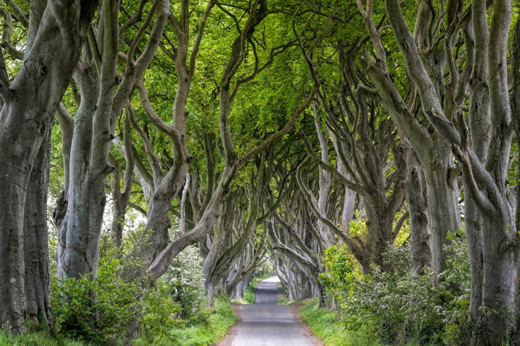 Images of Ireland