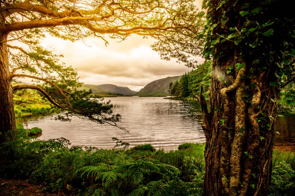 Images of Ireland