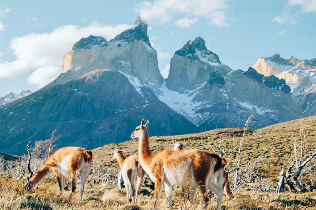Reasons to Visit Chile