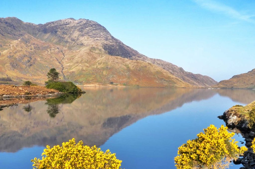 World of Ireland