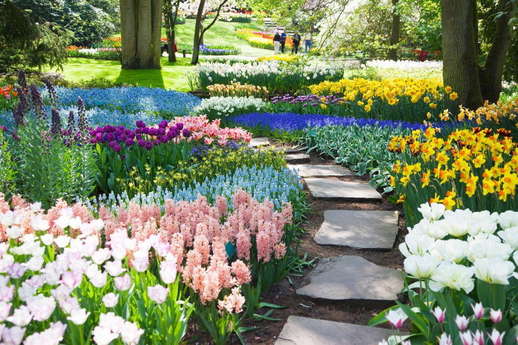Flower garden in Amsterdam, Netherlands