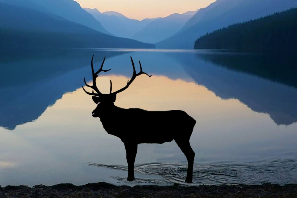 A deer standing in front of a lake with mountains in the background.