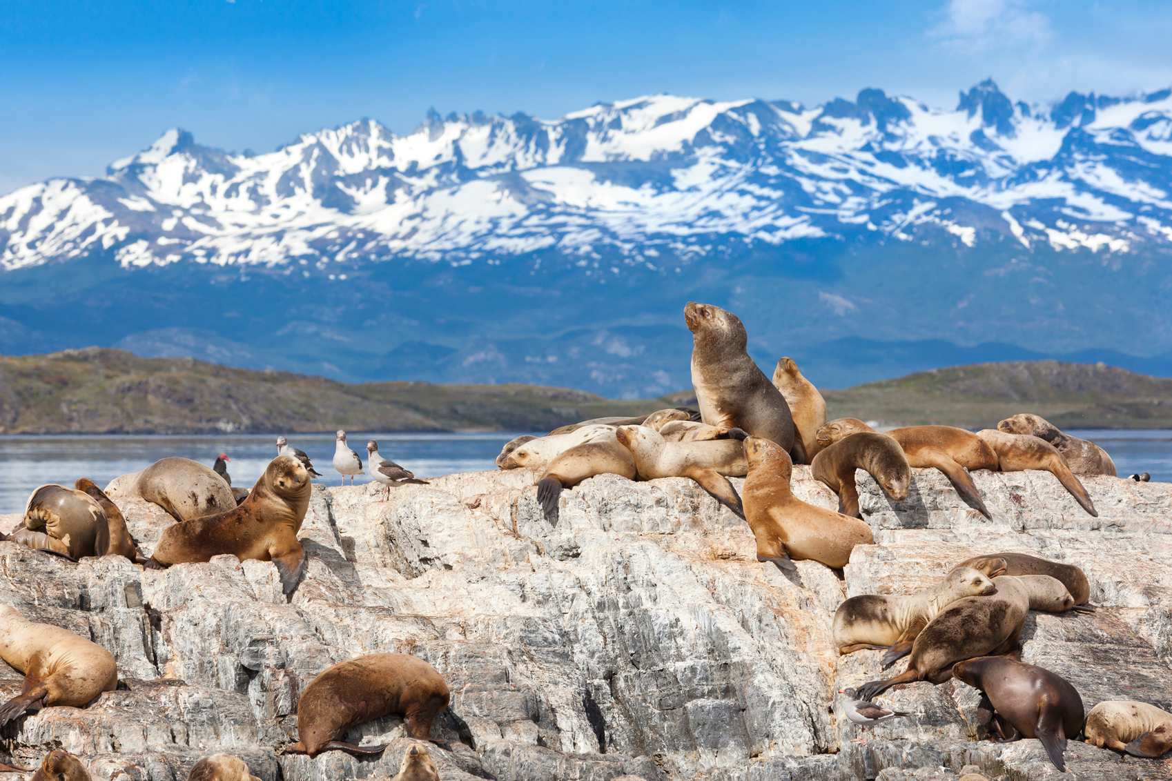  Wildlife Destinations for Nature Lovers