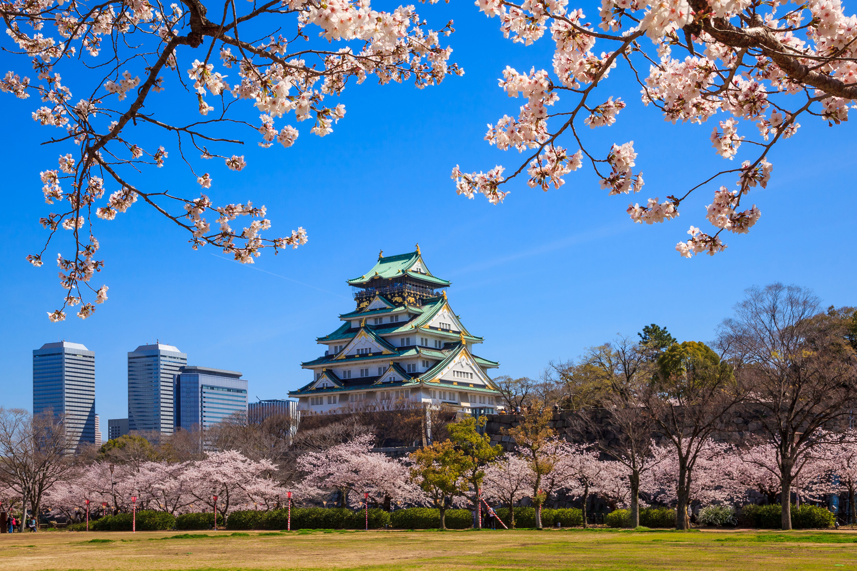 Beautiful Japanese landscapes Osaka castle, Osaka, Japan