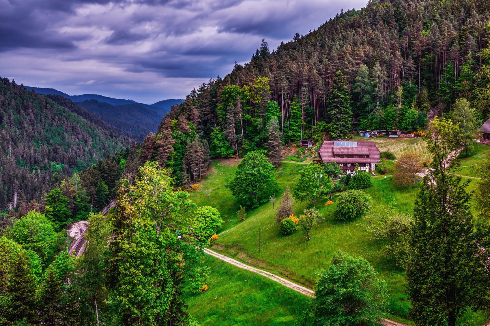 black forest in germany
