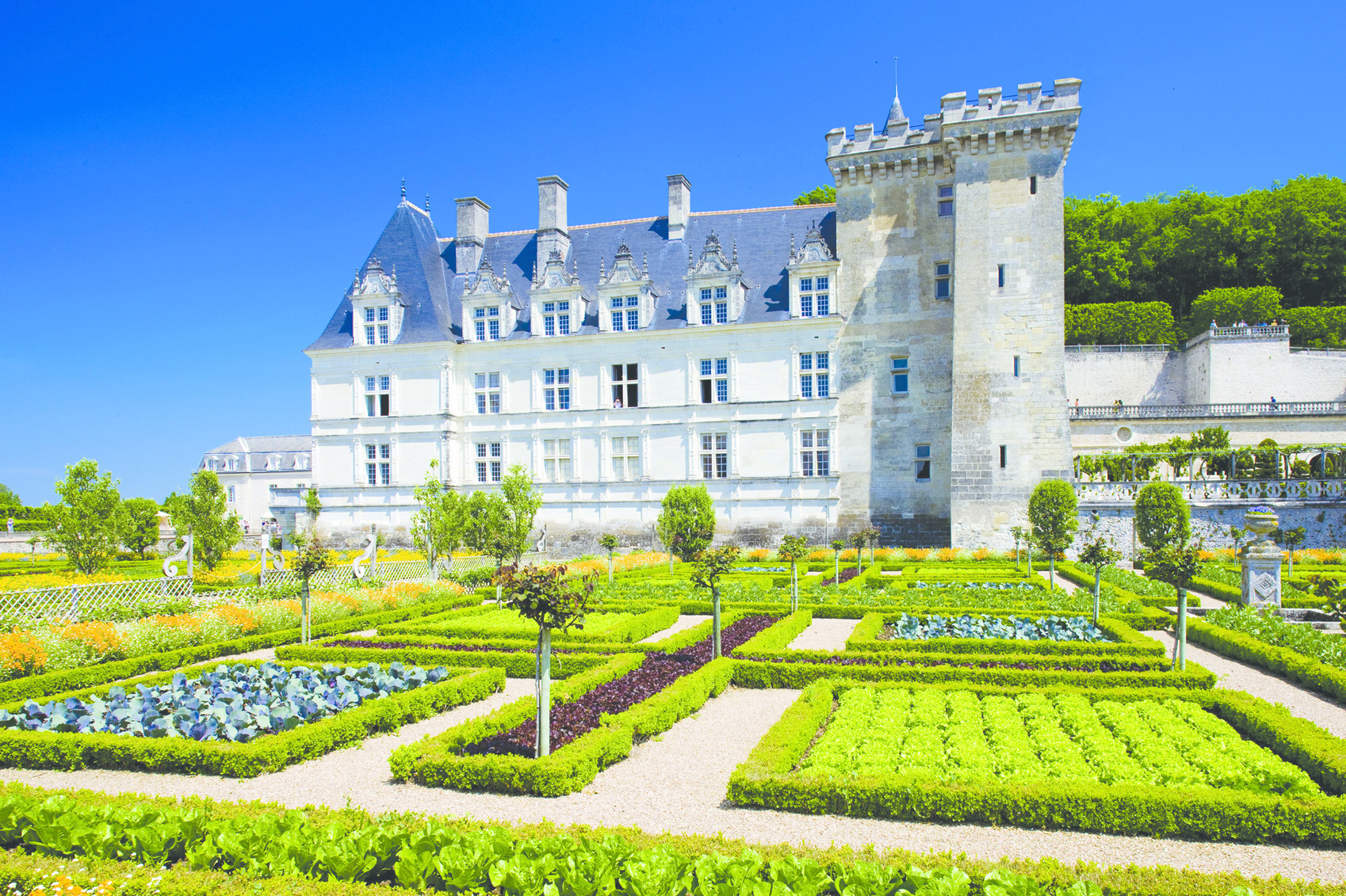 Beautiful Castles in France RS6467_2901_eur_2013st-lpr Villandry © Trafalgar