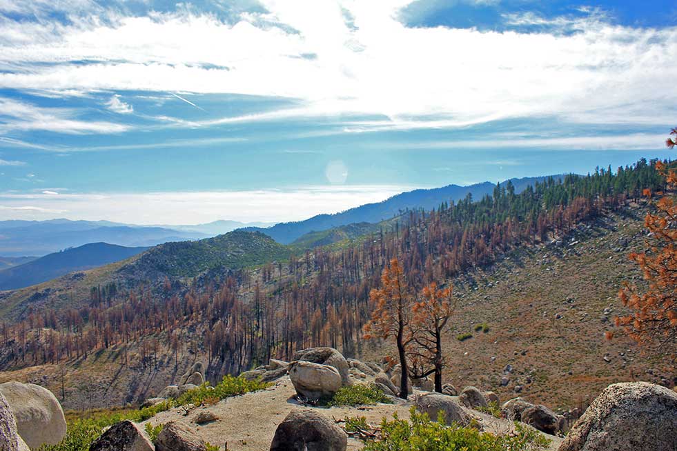 northern california forest fires 