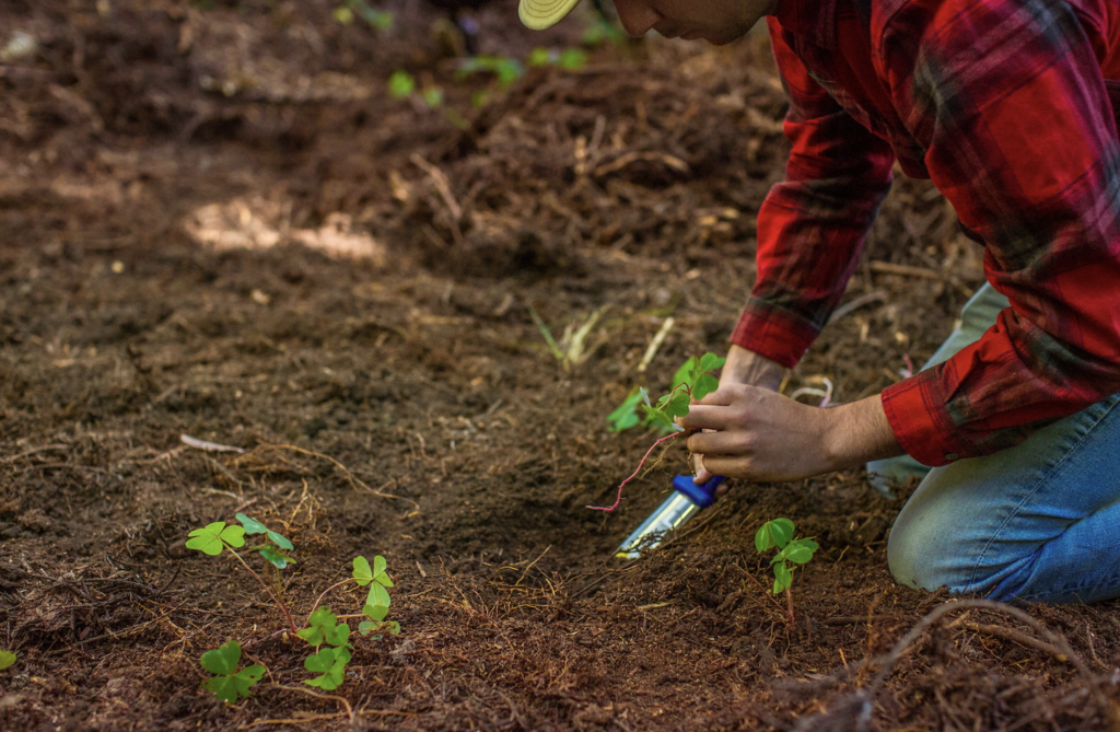 A man planting a tree in the dirt.