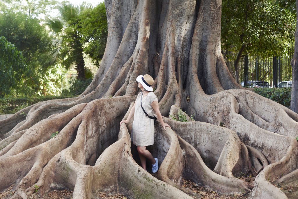 A woman standing in the roots of a tree.
