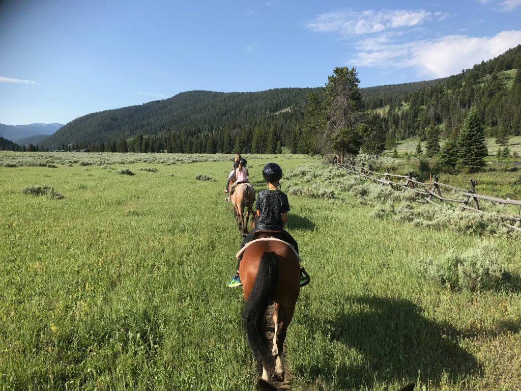Two people riding horses through a grassy meadow.