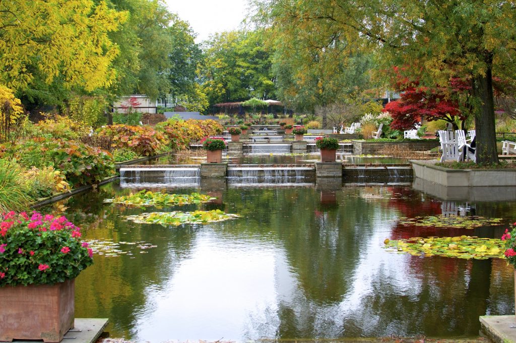 Discover one of the hidden gems of Germany - a tranquil pond nestled in a lush garden.