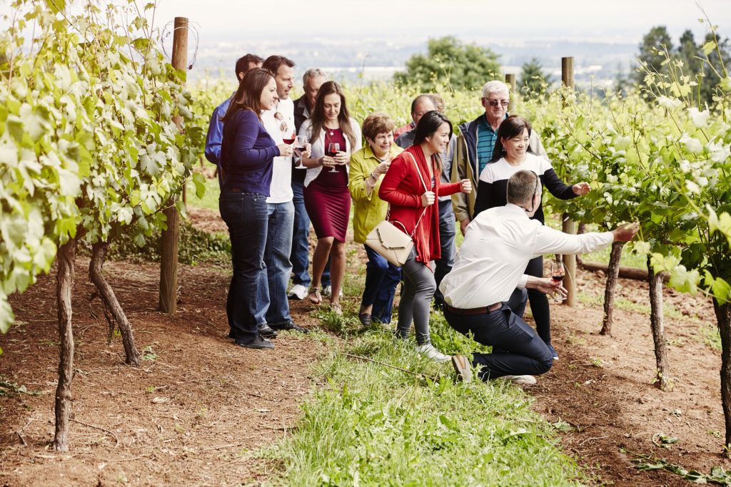 For the best travel tips, visit a picturesque vineyard where a group of people are enjoying their time.
