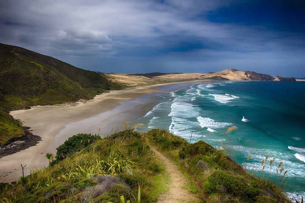 beach new zealand