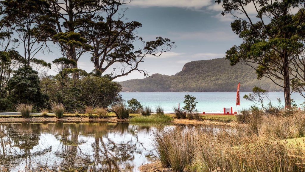 nature Bruny Island Tasmania