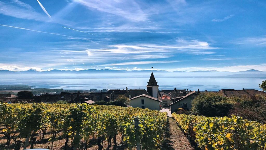 vineyards bougy villars switzerland
