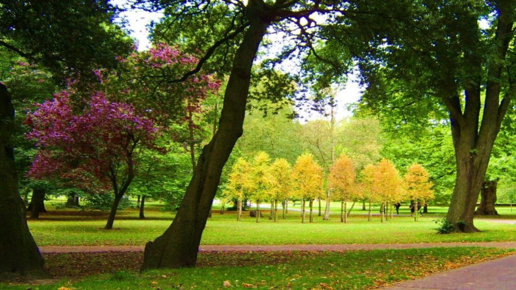 lush garden bute park cardiff