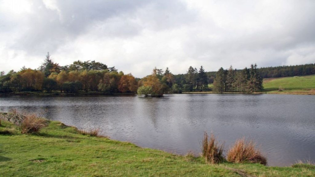 lake Moss Eccles Tarn Lake District
