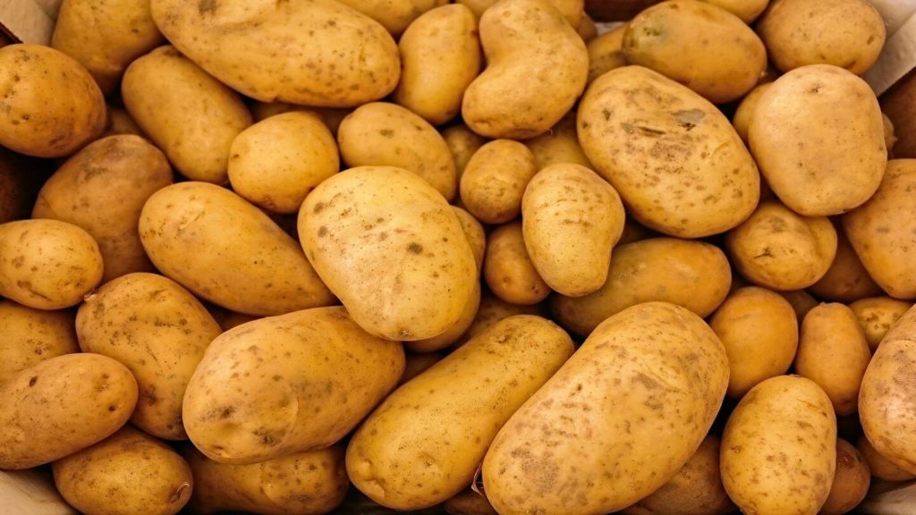 sack of potatoes