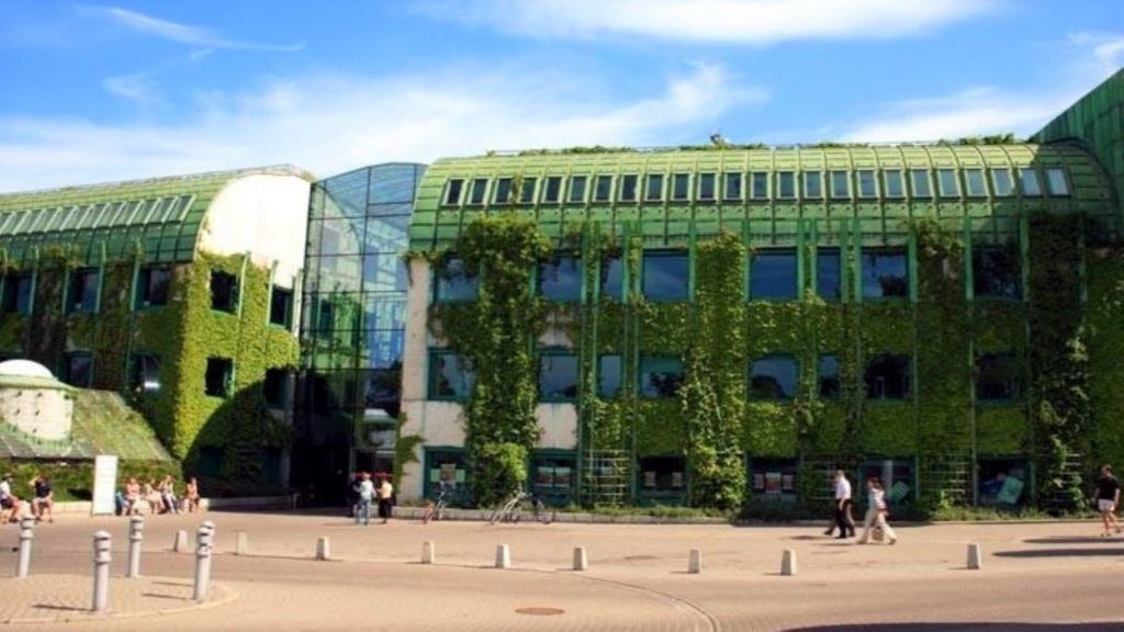One of the most beautiful libraries, covered in ivy on a sunny day.