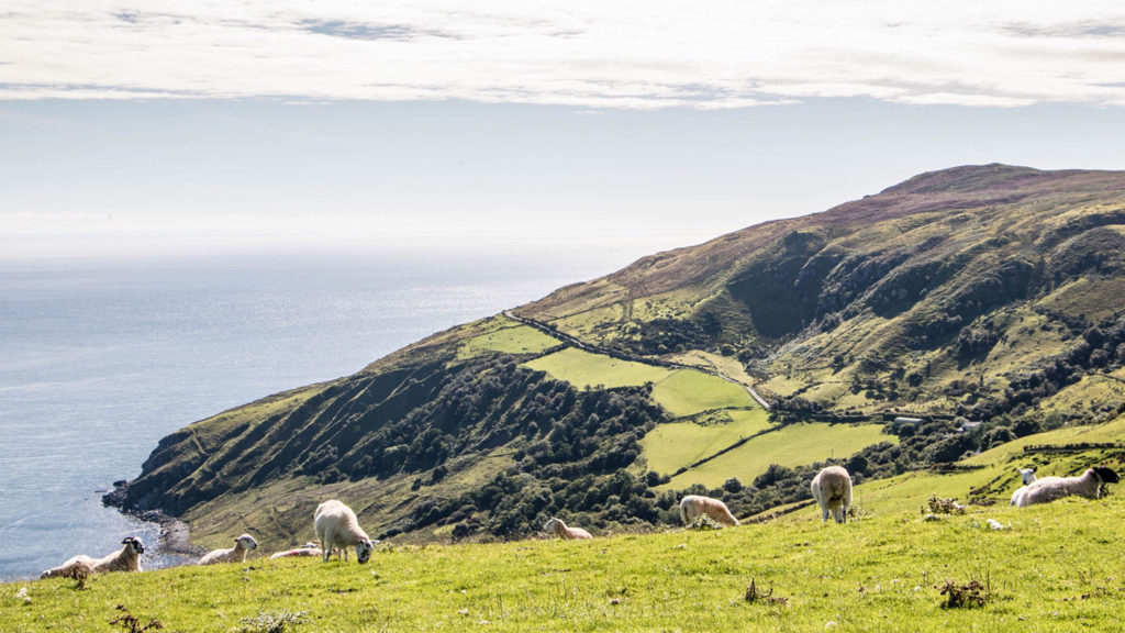 Norther Ireland Scenary