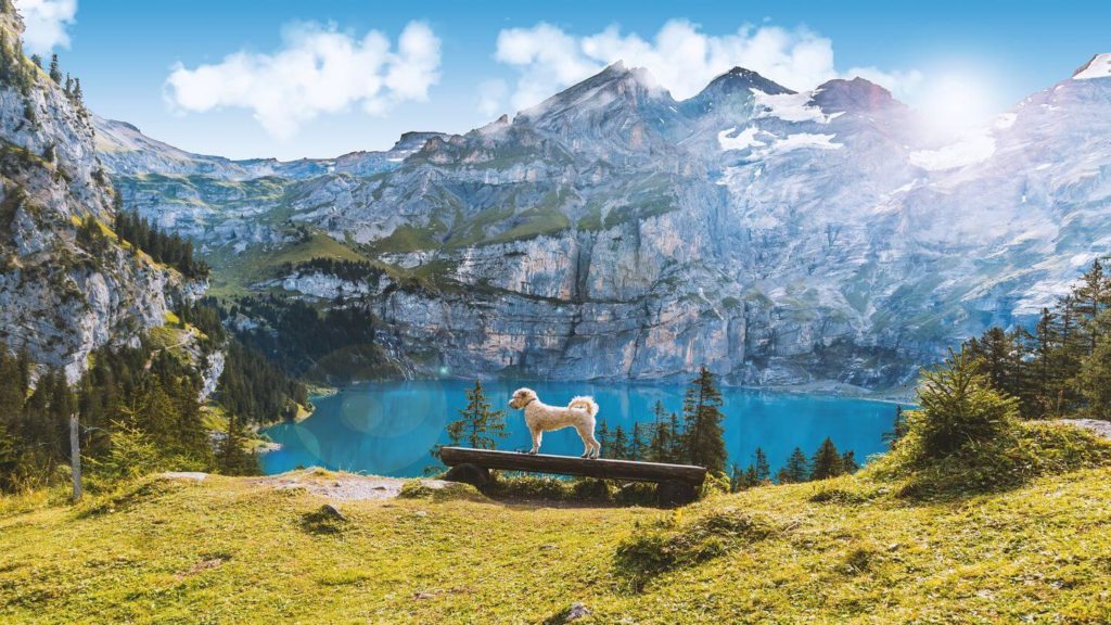 blue lake oeschinen switzerland
