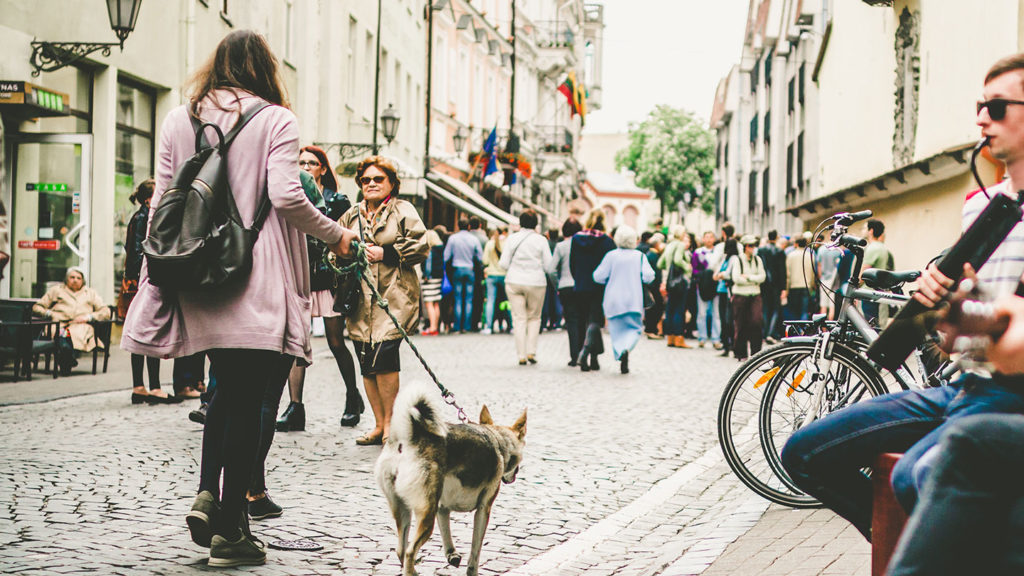 A woman is walking her dog on a cobblestone street near Vilnius cafés.