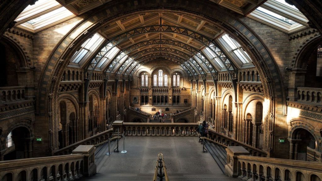 history museum london domestic travel