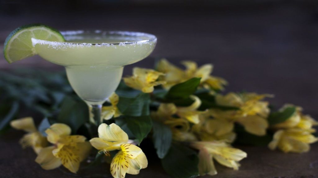 margarita cocktail flowers mexico