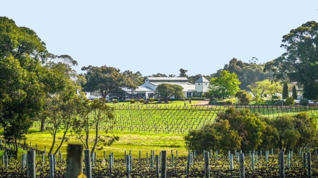 Hay Shed Hill Winery Margaret River Western Australia