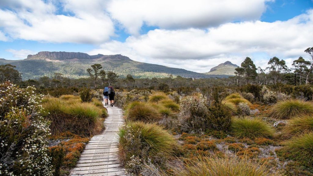 two people hiking the Overland Track through bushland in Tasmania