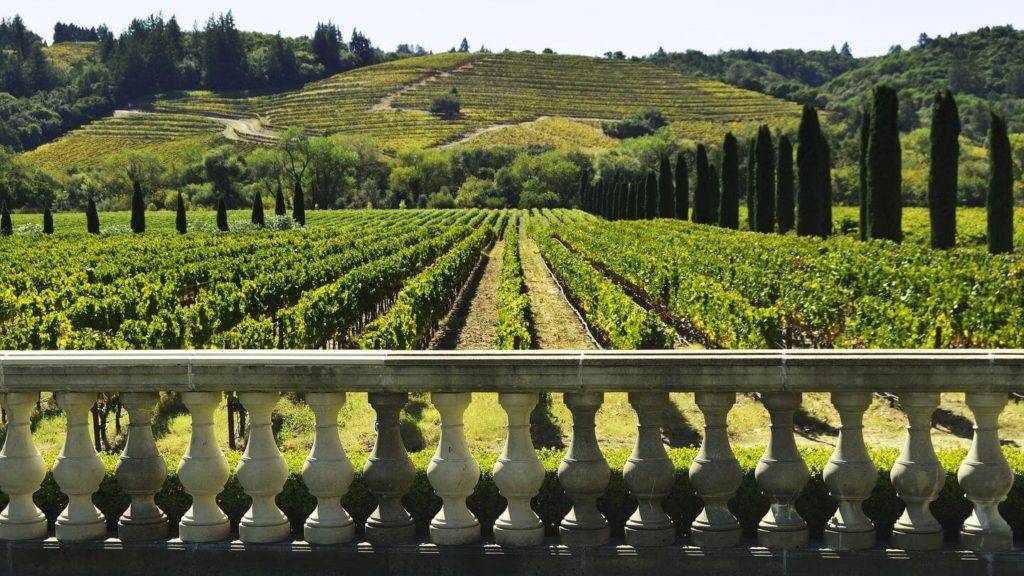 vineyard Napa Valley California USA travel bucket list