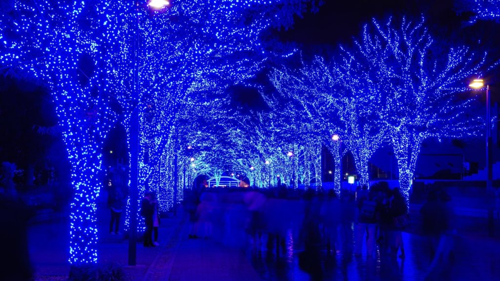Pathway lined with trees illuminated by blue lights at nighttime, celebrating Asian Christmas traditions, with blurred figures of people walking.