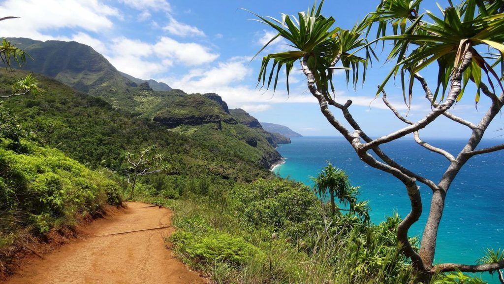 If seniors have the vaccine they will travel to Hawaii