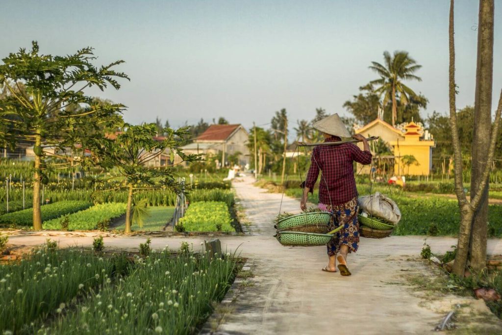 organic farming village Hoi An 
