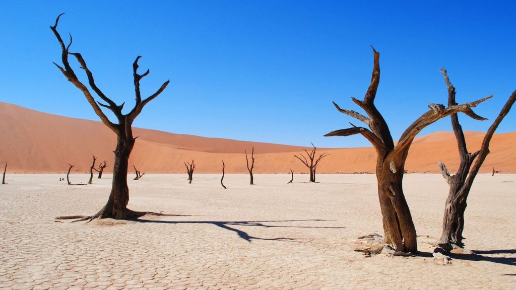 Deadvlei salt pan orange sand dunes Namibia