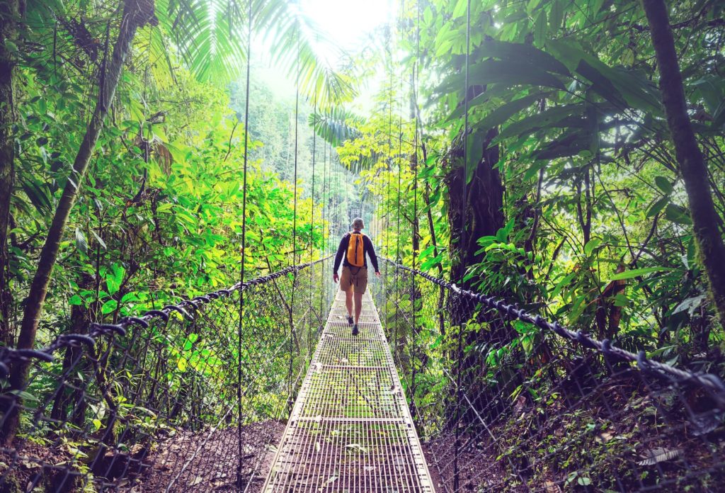 Person hiking across a suspension bridge in a lush forest during their 10-day trip to Costa Rica.