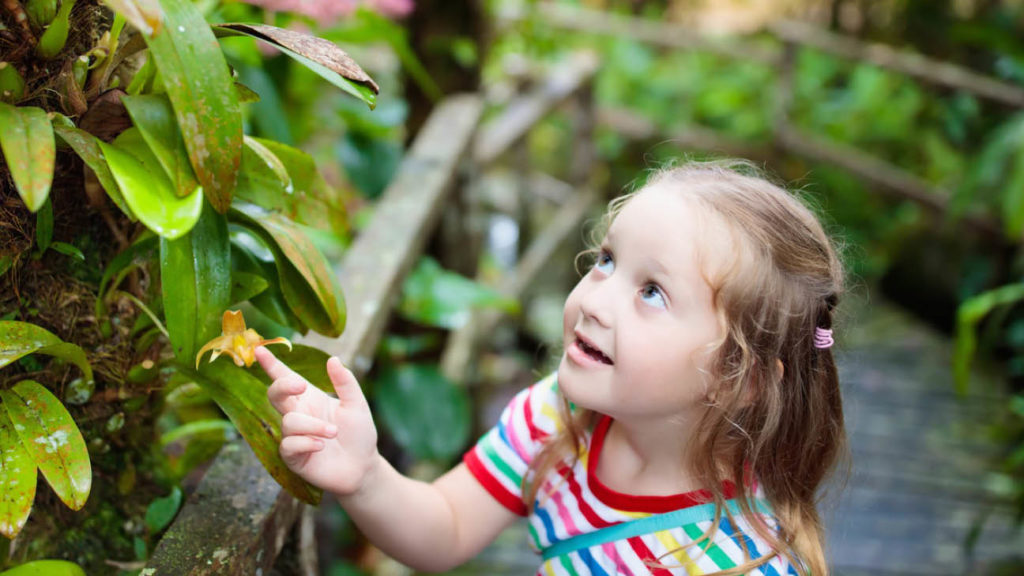 Cute little girl looking inspired at a wild orchid in Borneo tropical rainforest.