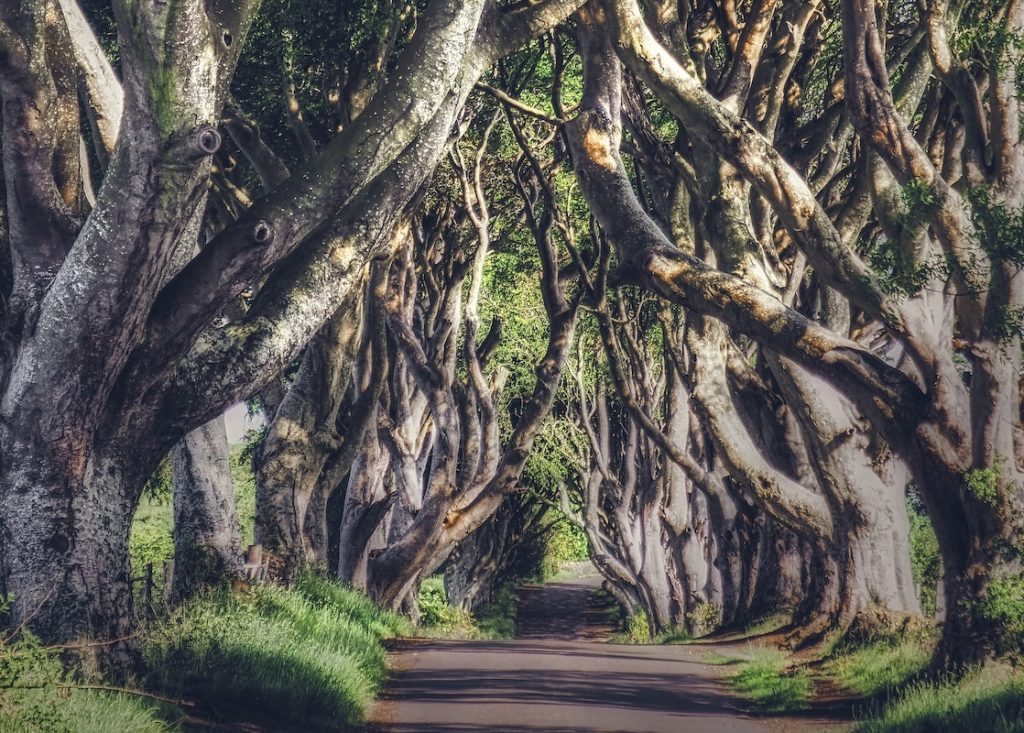 Northern Ireland UK film locations