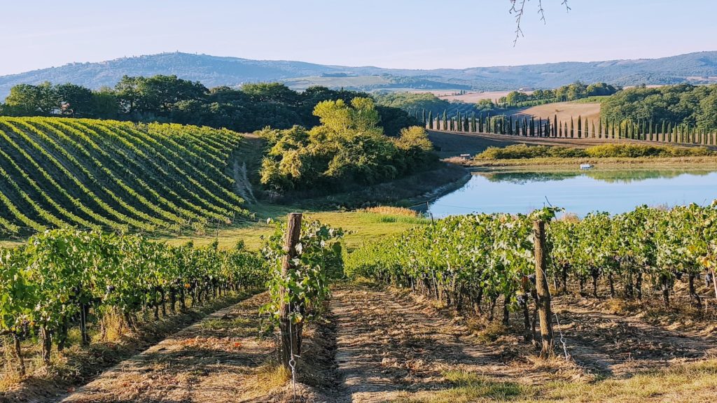 Tuscany wine hills